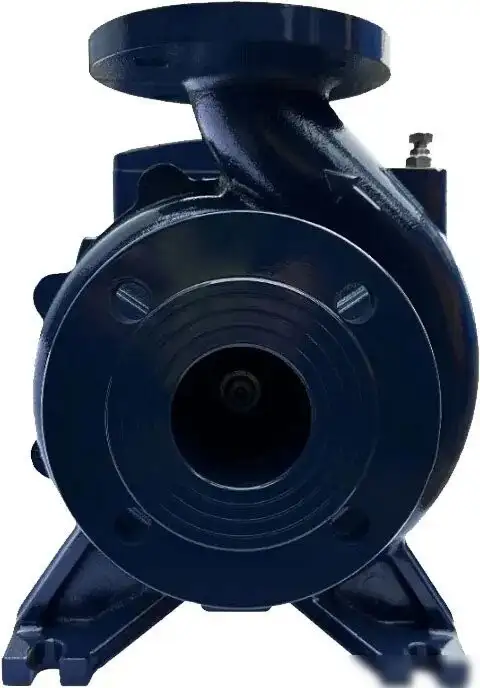 Циркуляционный насос Maxpump F 65-250/220 - фото товара