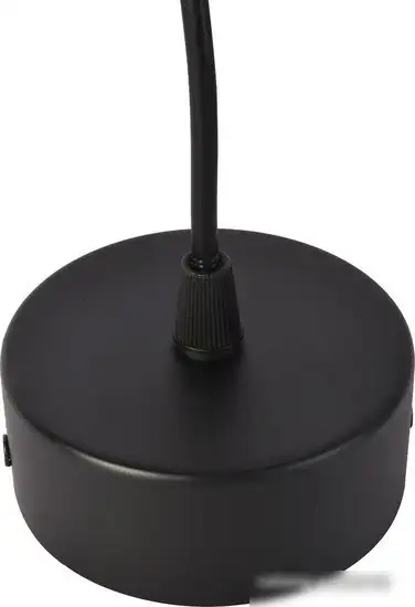 Подвесная люстра Favourite 3077-1P – фото товара