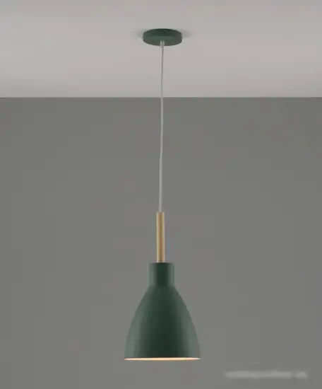 Подвесная люстра Moderli Toni V10651-1P – фото товара