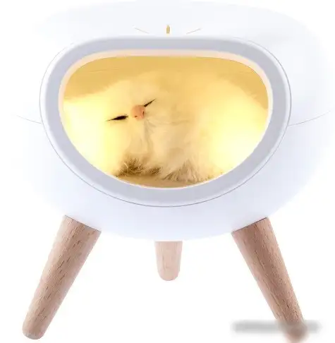 Ночник ЭРА NLED-467-1W-W – фото товара