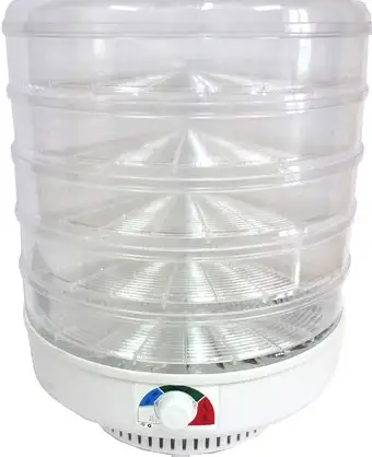 Сушилка для овощей и фруктов Спектр-Прибор Ветерок-2 ЭСОФ-0,6/220 (5 поддонов, прозрачный) - изображение в каталоге