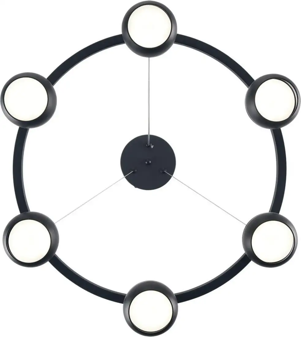 Подвесная люстра Lumion Luazana 8242/6 – фото товара