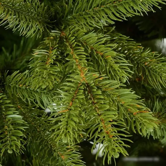 Ель Erbis Swierk PE Gesty Lux 2.2 м – фото товара