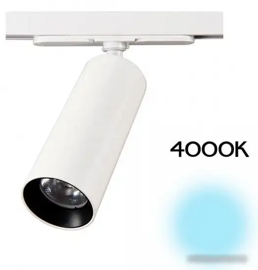 Трековый светильник Citilux Тубус CL01T120N – фото товара