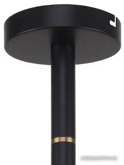 Люстра средней высоты Favourite Eternity 2766-12P – фото товара