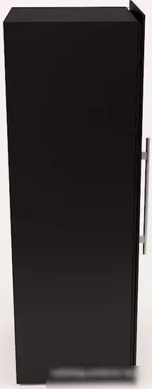 Винный шкаф Dunavox DX-89.246TB — фото товара