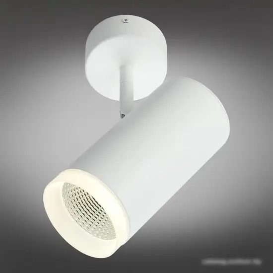 Спот Omnilux Maratea OML-102609-20 – фото товара