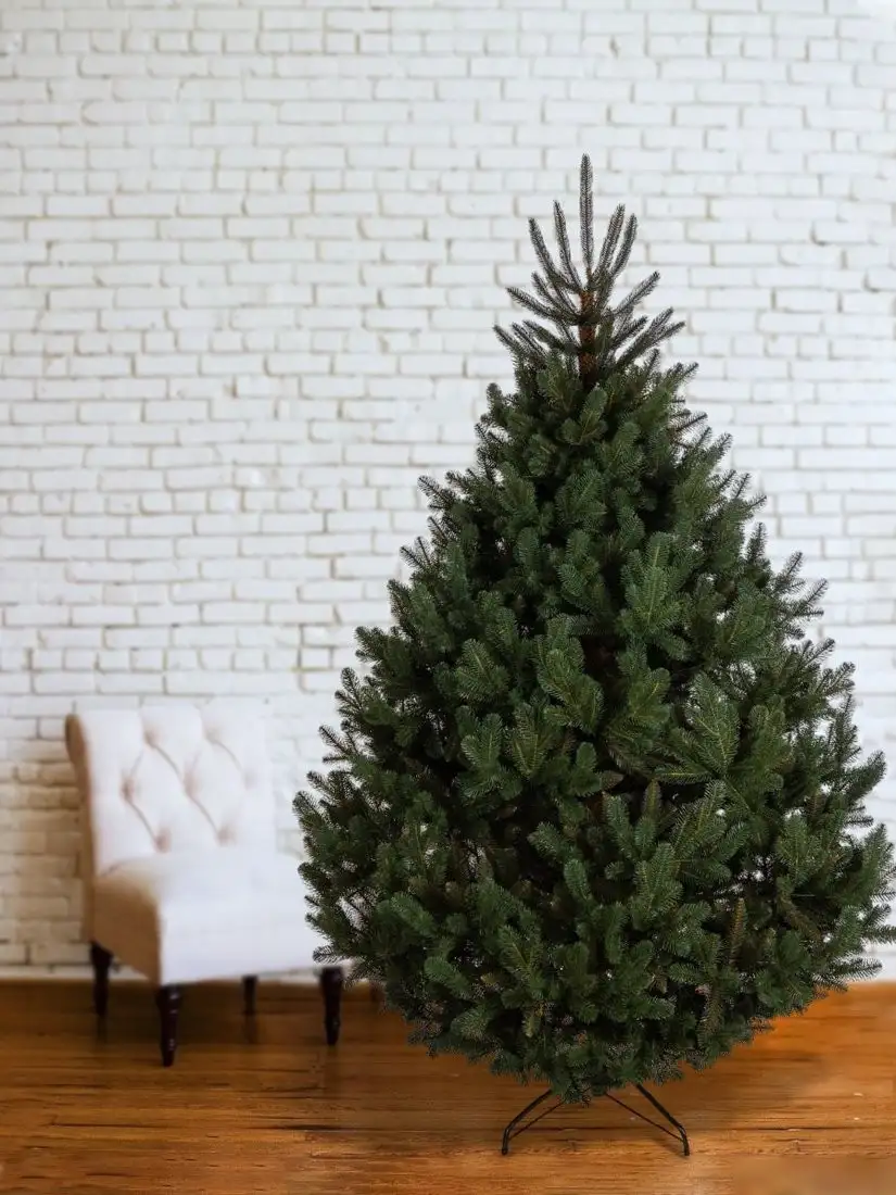 GreenTerra Босния (2.5м) – фото товара