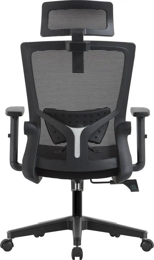 Офисное кресло Evolution ErgoLine 1 (черный) – фото товара
