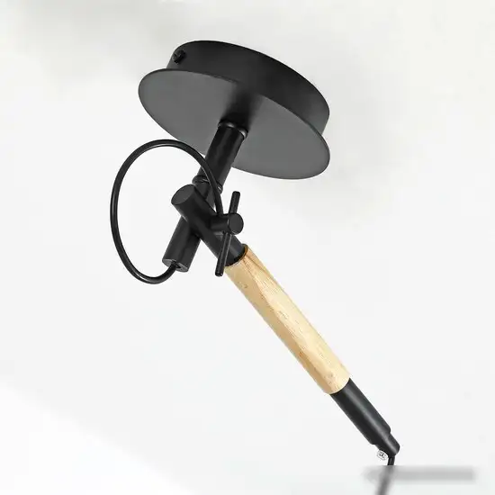 Подвесная люстра F-Promo Eureka 3006-1P – фото товара