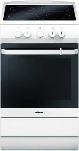 Кухонная плита Hansa FCCW54000