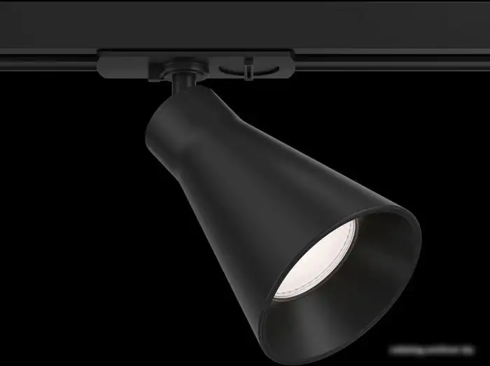 Трековый светильник Maytoni TR022-1-GU10-B – фото товара