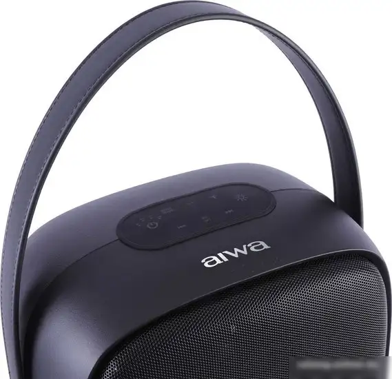 Беспроводная колонка Aiwa PAS-Y600 – фото товара