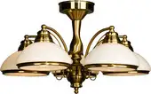 Люстра Citilux Краков [CL401153] – изображение в каталоге