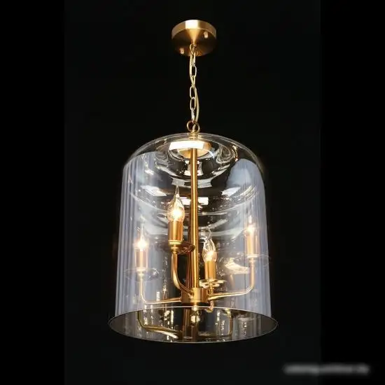 Подвесная люстра Aployt Polin APL.603.06.06 – фото товара