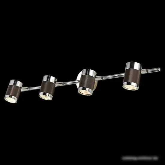Спот Lussole Loft LSP-9565 – фото товара