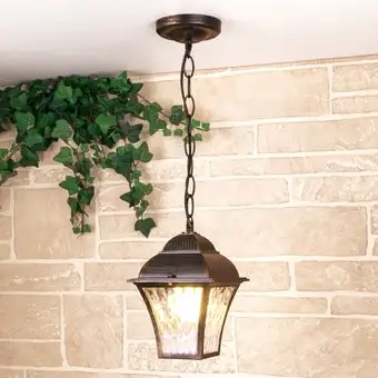 Уличный подвесной светильник Elektrostandard Apus H GL 1009H (черное золото) – изображение в каталоге