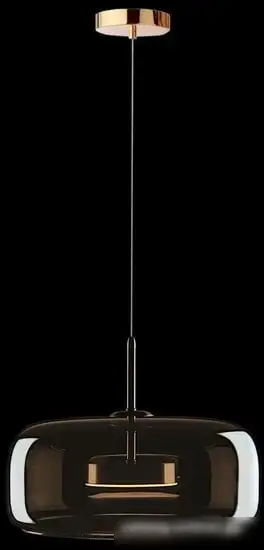 Подвесная люстра LOFT IT Dauphin 10040B – фото товара