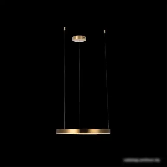 Подвесная люстра LOFT IT Ring 10013M – фото товара