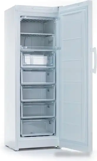 Морозильник Indesit DSZ 5175 - фото товара