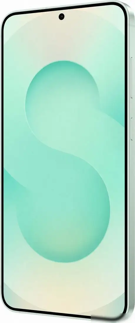 Смартфон Samsung Galaxy S25+ SM-S936B 12GB/512GB (мятный) – фото товара
