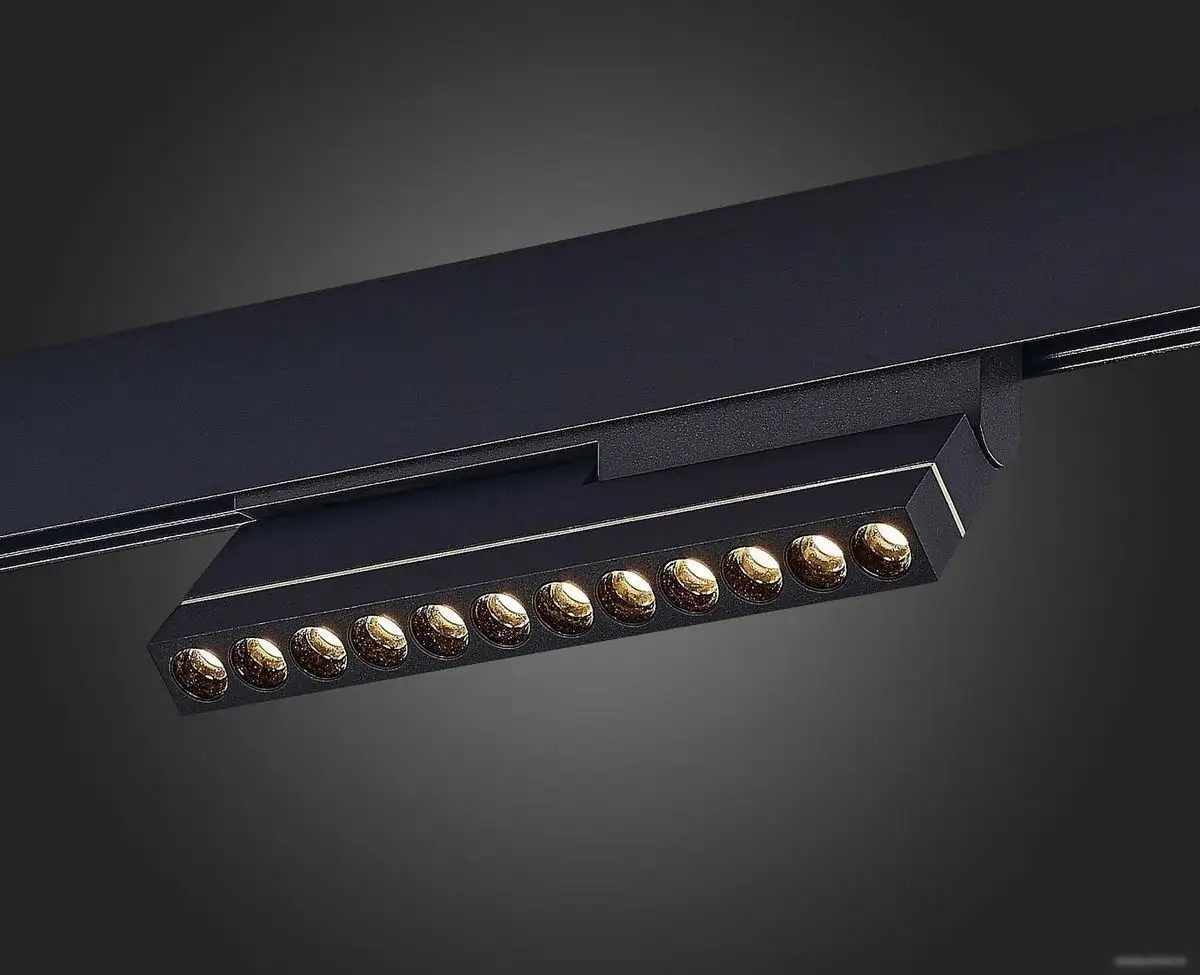 Трековый светильник ST Luce SKYLine 48 ST805.436.12 – фото товара