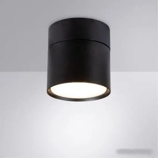 Припотолочная люстра Arte Lamp Intercrus A5549PL-1BK – фото товара