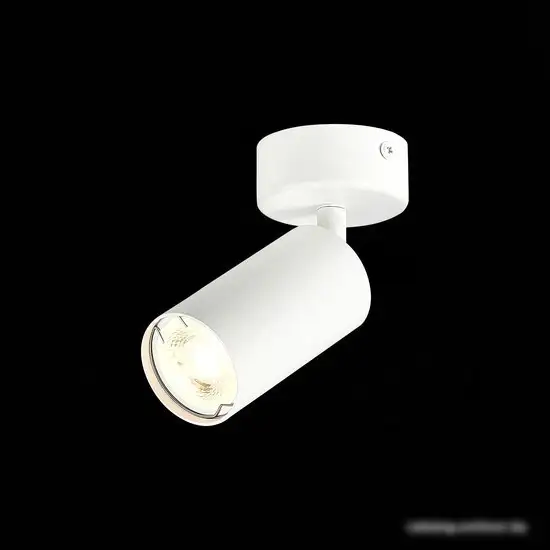 Спот ST Luce Dario ST303.502.01 – фото товара