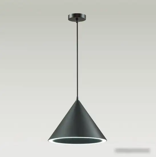 Подвесная люстра Lumion Lenny 3724/24L – фото товара