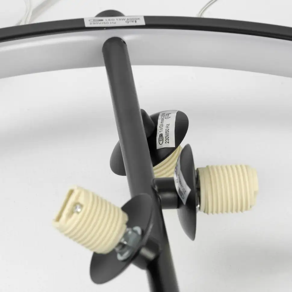 Подвесная люстра Lussole Lancaster LSP-7089 – фото товара