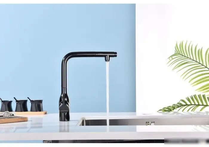 Смеситель Paulmark Viper VI213105-GB (черный/черный глянцевый) - фото товара