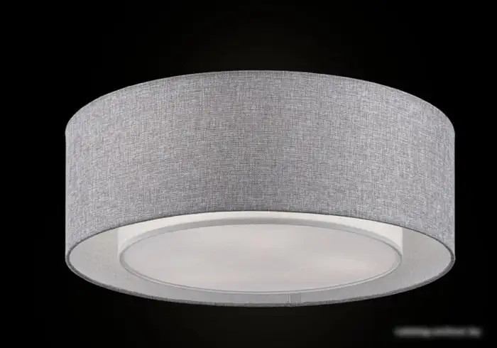 Припотолочная люстра Maytoni Bergamo MOD613CL-04GR – фото товара