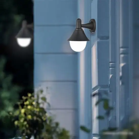 Уличный настенный светильник ESCADA 30009W/01 – фото товара