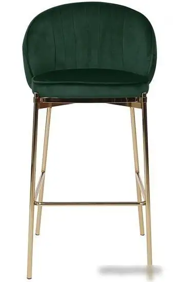 Стул Bergenson Bjorn Coral BEBA-CO10888 (темно-зеленый) – фото товара