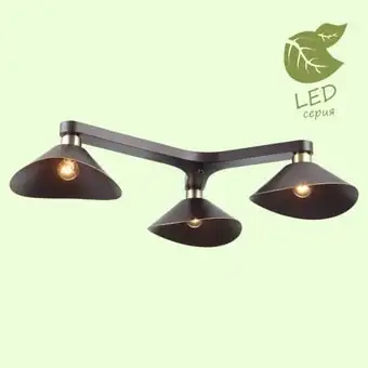 Подвесная люстра Lussole LOFT GRLSP-9534 – изображение в каталоге
