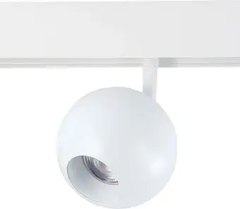 Трековый светильник ST Luce Bole ST354.536.12 – изображение в каталоге