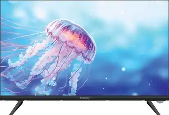 Телевизор Vivaris 24 One ST – изображение в каталоге