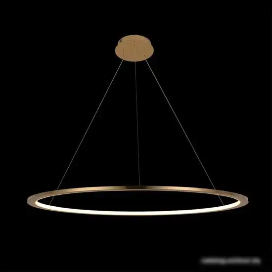 Подвесная люстра LOFT IT Ring 10014XL – фото товара
