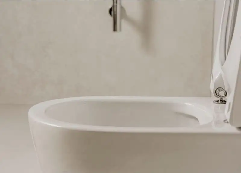 Унитаз подвесной Roca ONA ZRU9310392 - фото товара