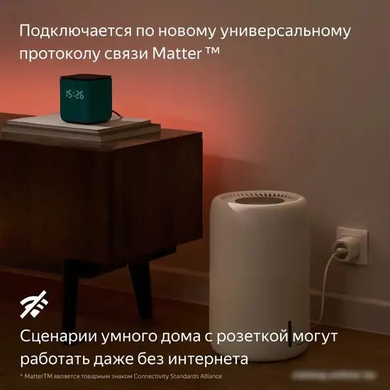 Умная розетка Яндекс YNDX-00540BLK (черный) – фото товара