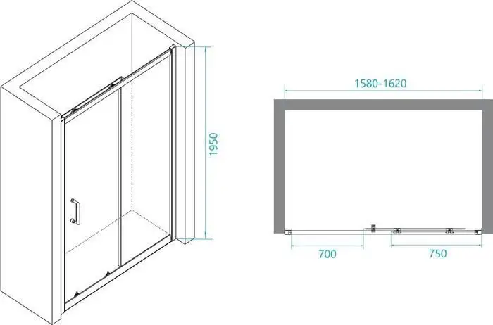 Душевая дверь RGW PA-14 B 41081416-14 160 (черный/прозрачное стекло) - фото товара