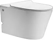 Унитаз подвесной Cerutti Spa Argentera Aria Pulse CT10590 - изображение в каталоге