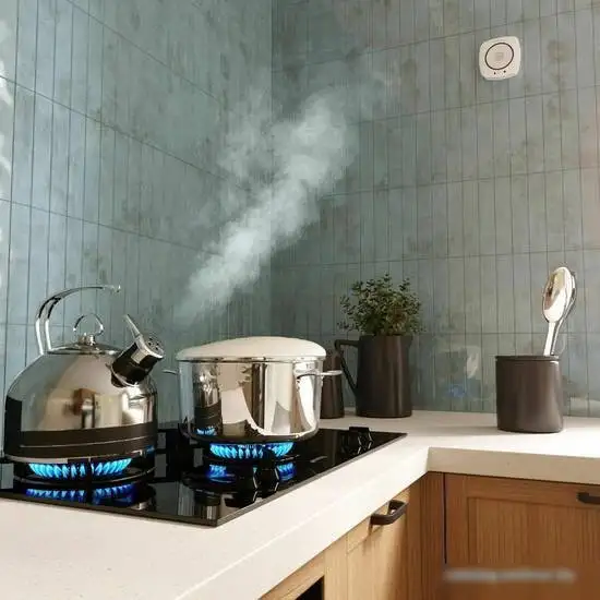 Датчик Elektrostandard газа 76250/00 – фото товара