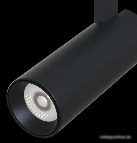 Спот Maytoni TR019-2-10W4K-B – фото товара
