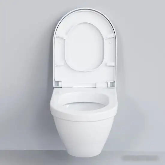 Унитаз Ambassador Nord 133T20001 (белый, с толстым сиденьем) - фото товара