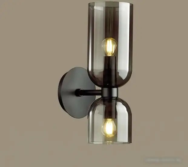 Бра Odeon Light Orinoco 4804/2W – фото товара