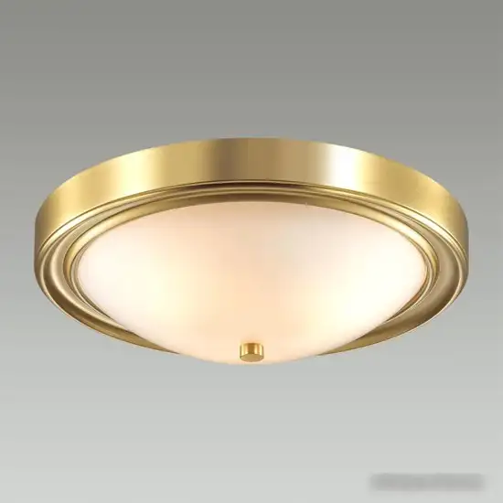 Припотолочная люстра Lumion Nina 5259/3C – фото товара