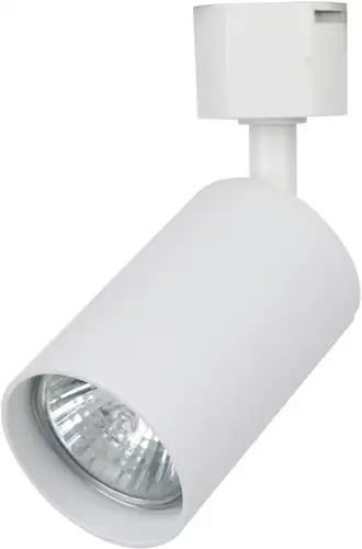 Трековый светильник TruEnergy 21116 – изображение в каталоге