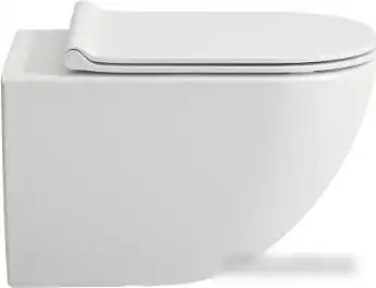 Унитаз подвесной Laufen Basal Combipack 866E100000001 - фото товара