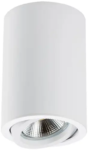 Спот Lightstar Rullo 214406 – изображение в каталоге